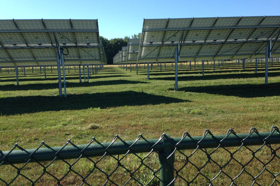 Pigeon solar 3