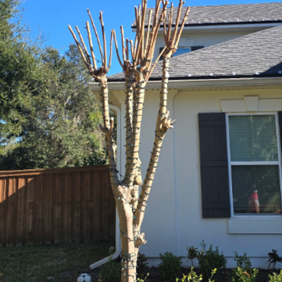 Screenshot 2025 12 13 070805