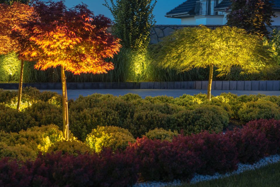 Landscape Lighting Connection | Las Vegas