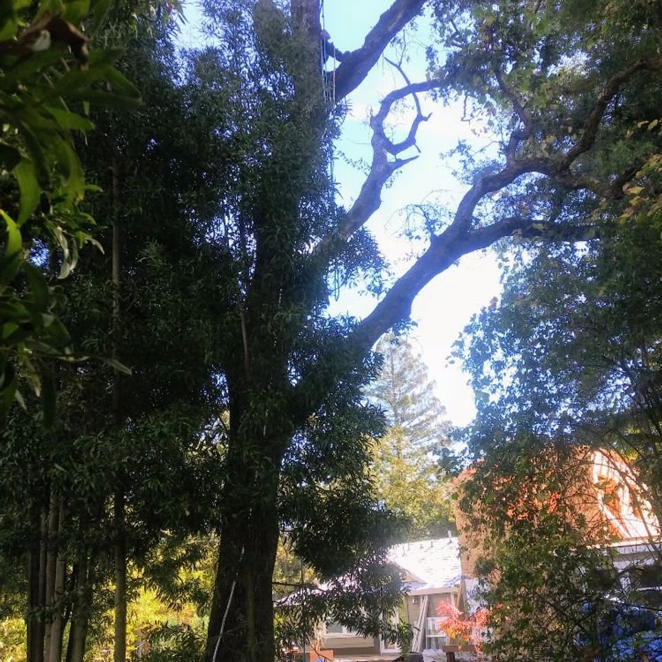 O   2024 04 17t162524.980