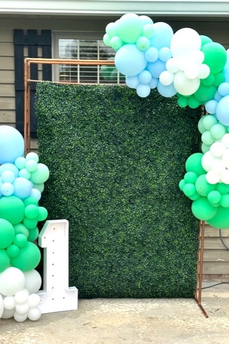 Boxwood 3