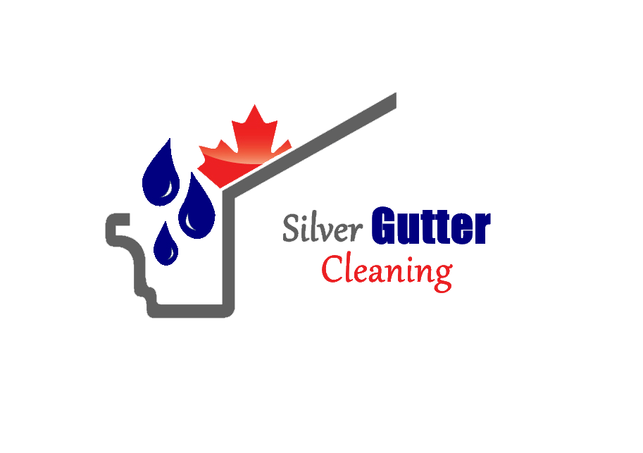 Silver Gutter Cleaning