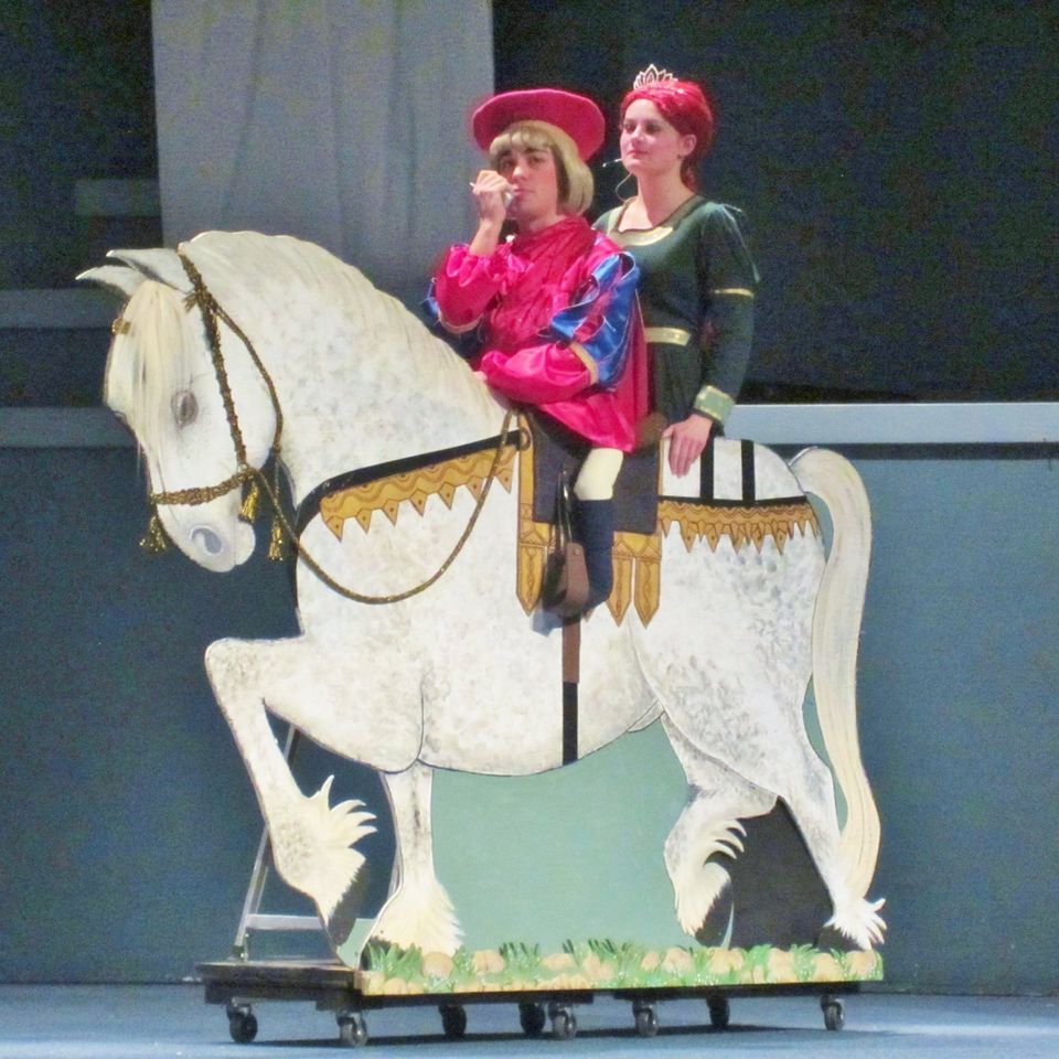 Shrek the musical 2015 1