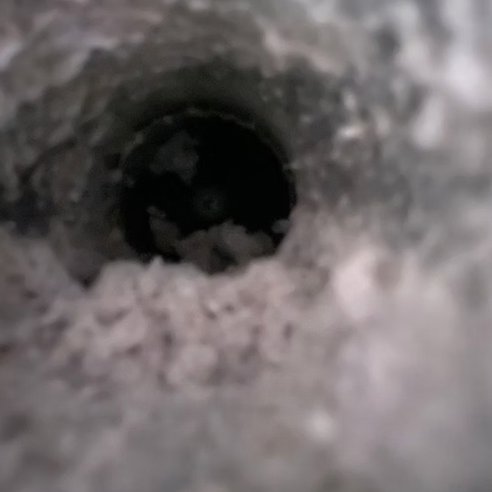 Screen shot 2026 02 27 at 12.11.26 pm