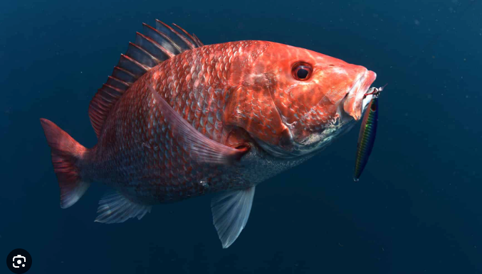 Screenshot 2026 02 24 at 10.23.51 am