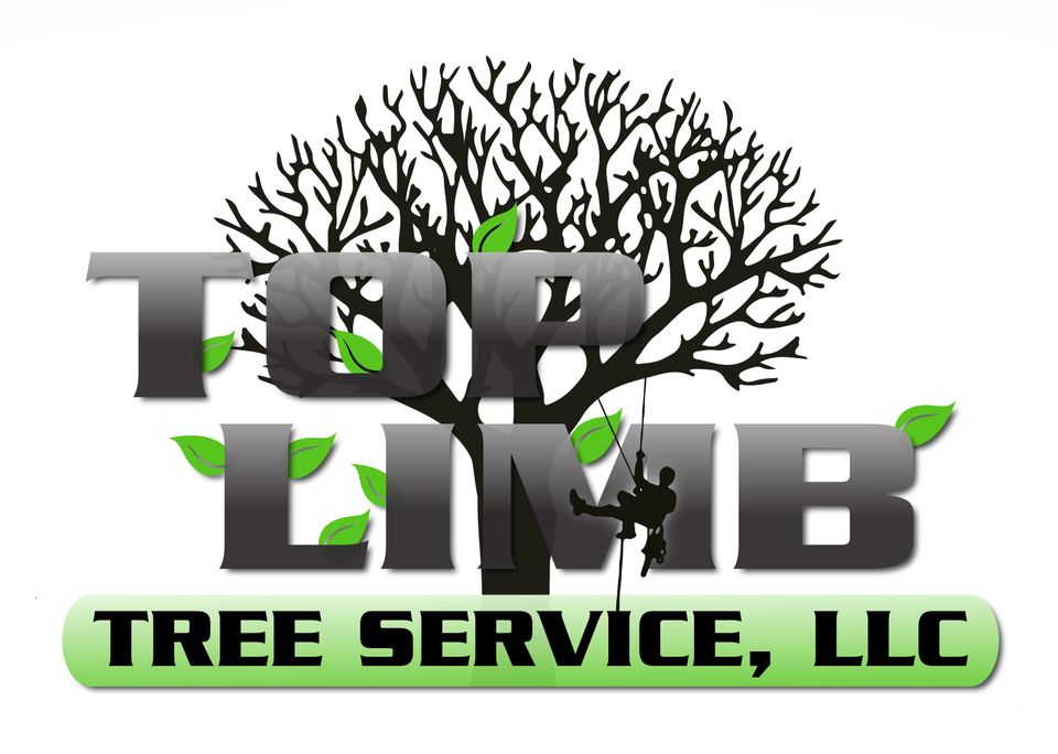 Top limb logo no outline