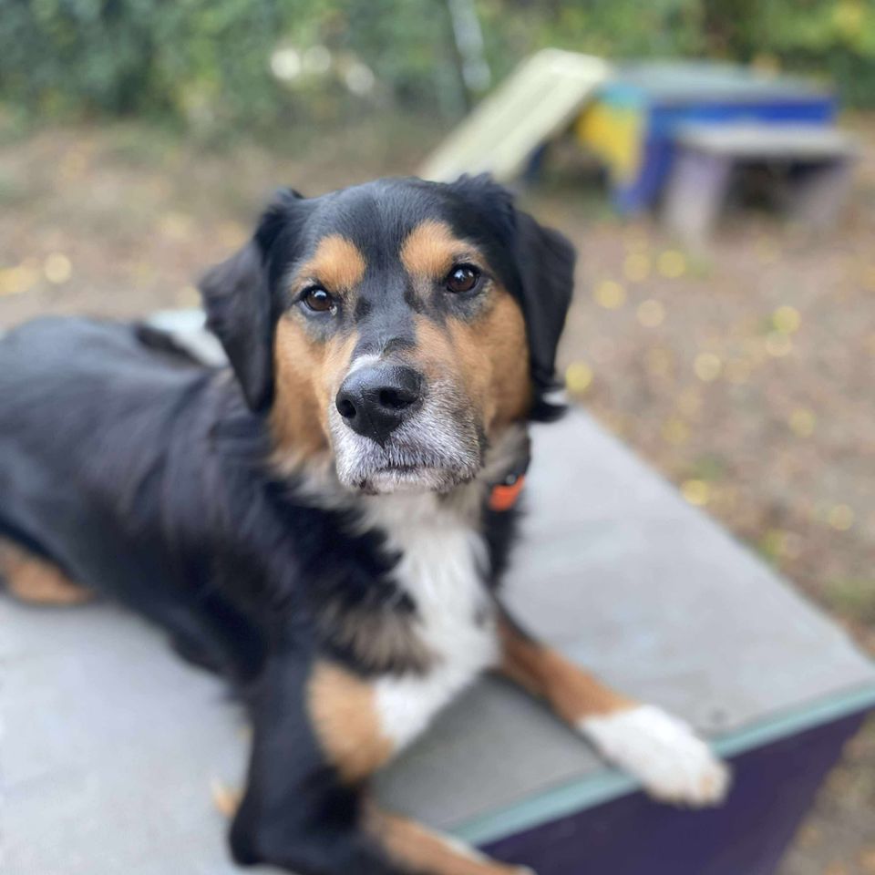 Received 4166443693613935