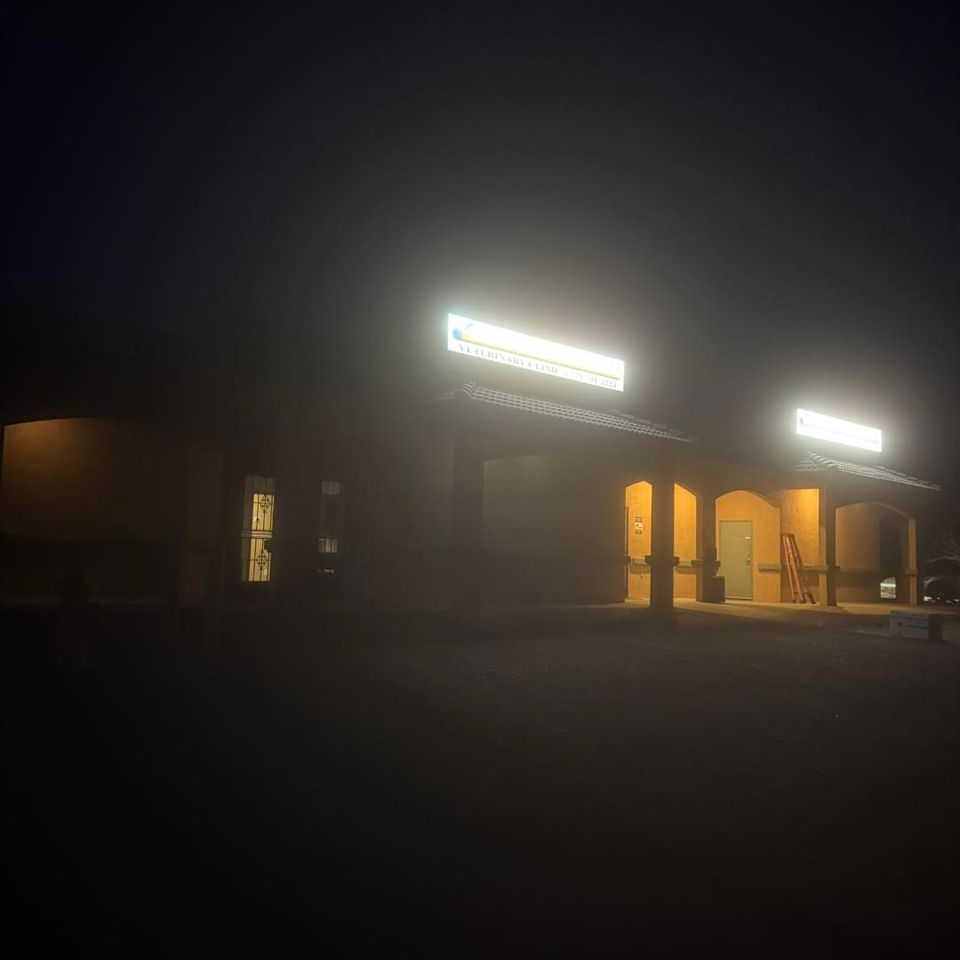 495372757 1267355782059215 7423726175759280562 n