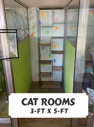 Cat room