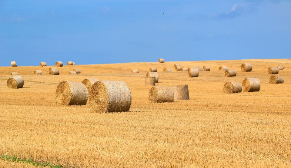 Hay Bales Harvest
