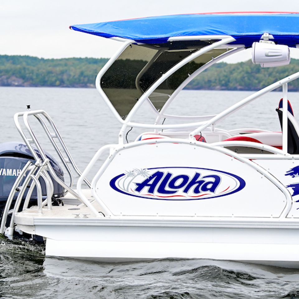 Aloha patriot 2