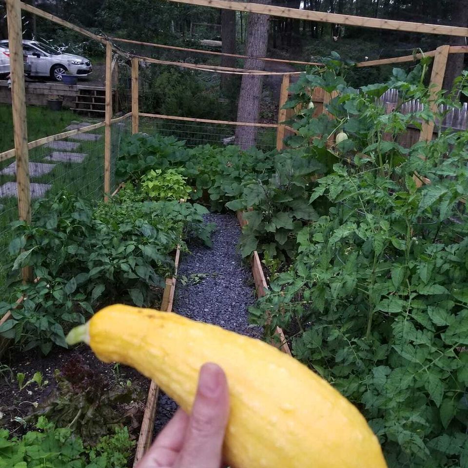 Squash