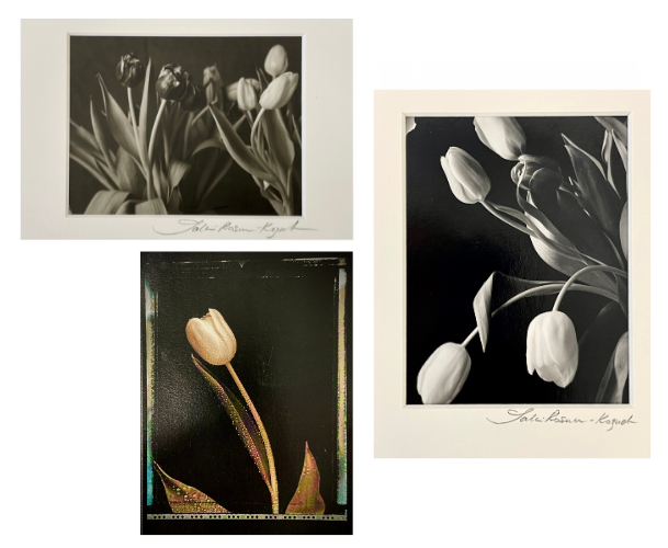 Untitled design (51)