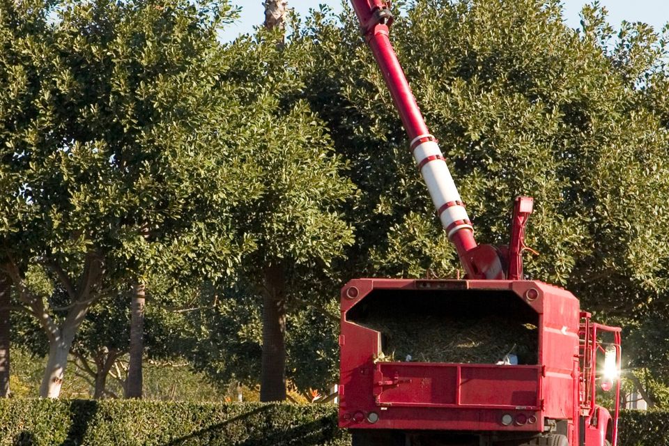 Commercial tree trimmers
