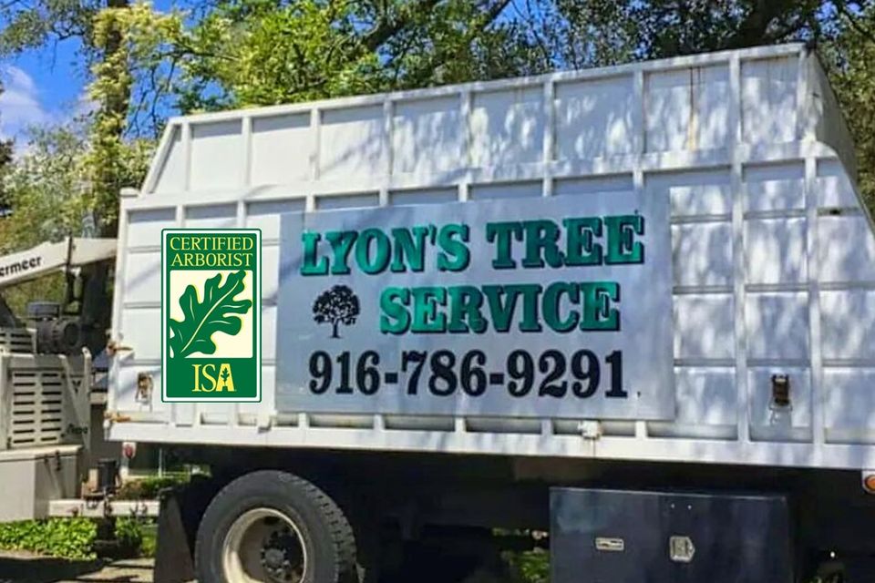 Lyons Tree Service Roseville Ca