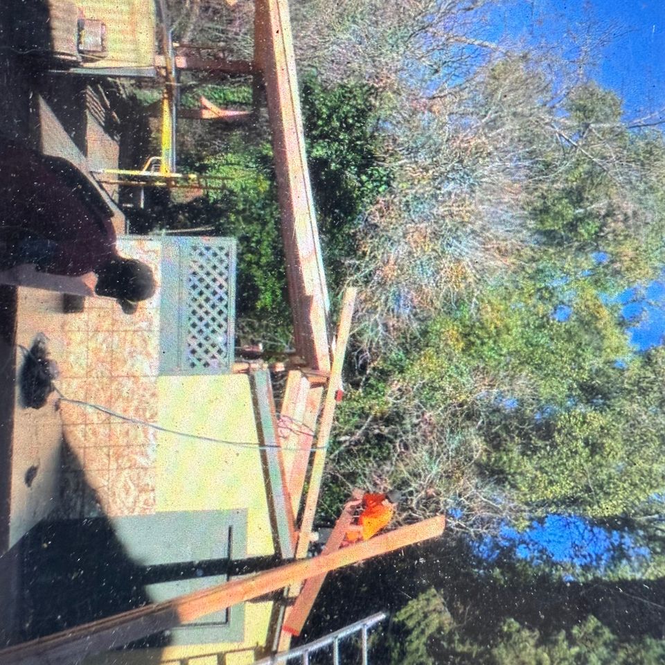 Img 0421