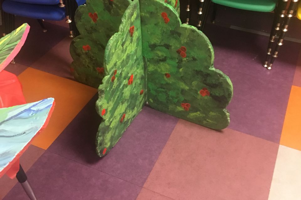 Img 1936