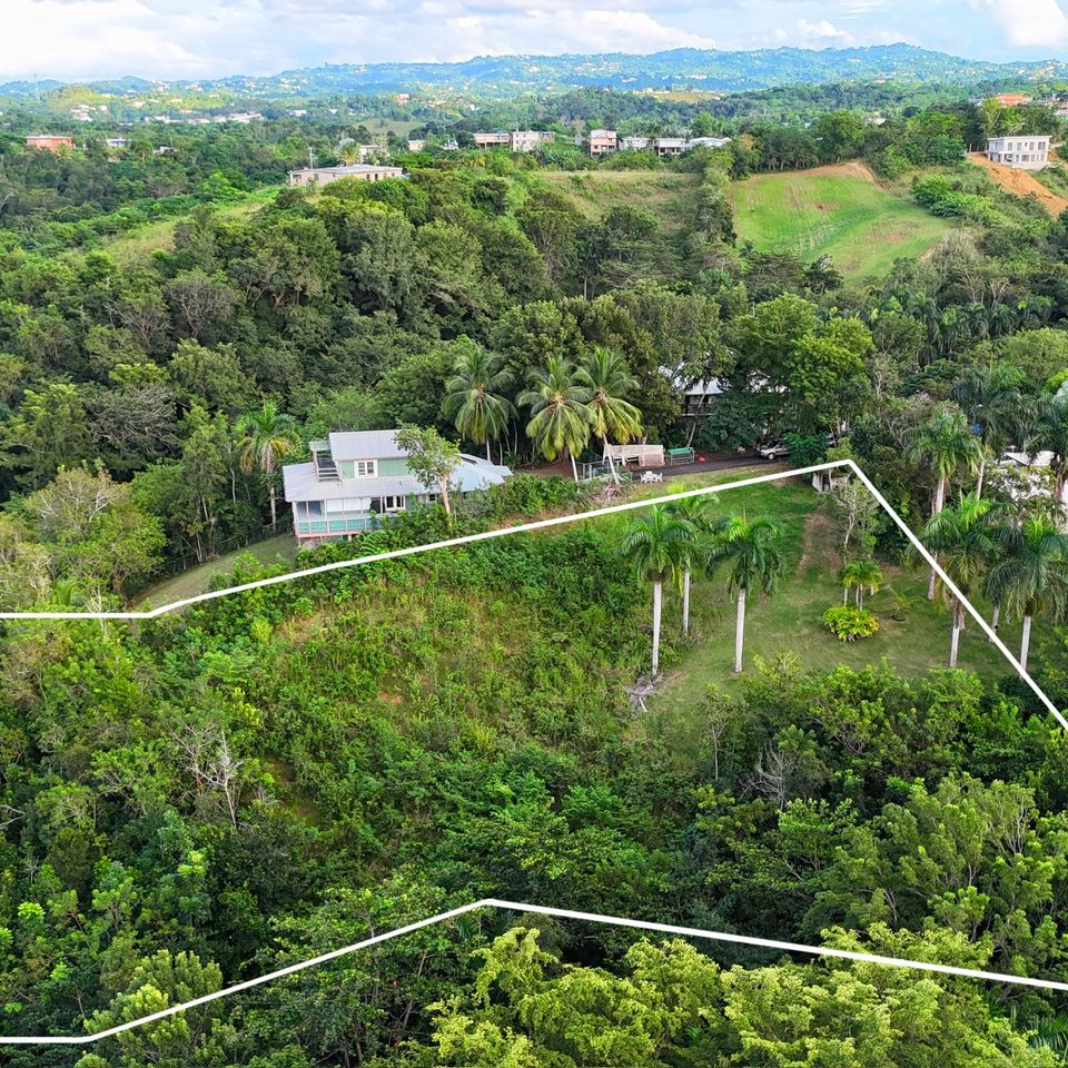 Dji 20241114153510 0005 d 2