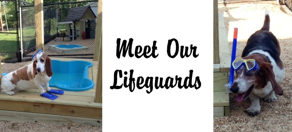 Games   lifeguards20150715 7419 dvypyz