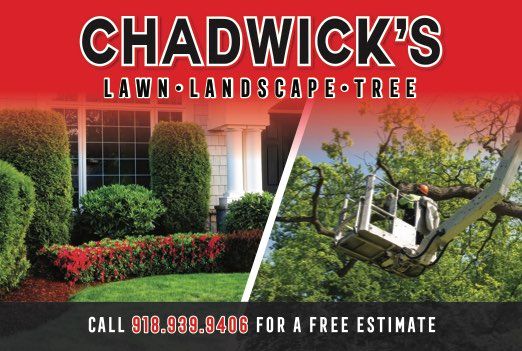 She23 chadwick's featured hp ad