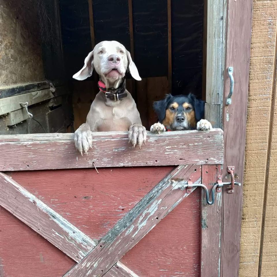 Fb img 1729120022918