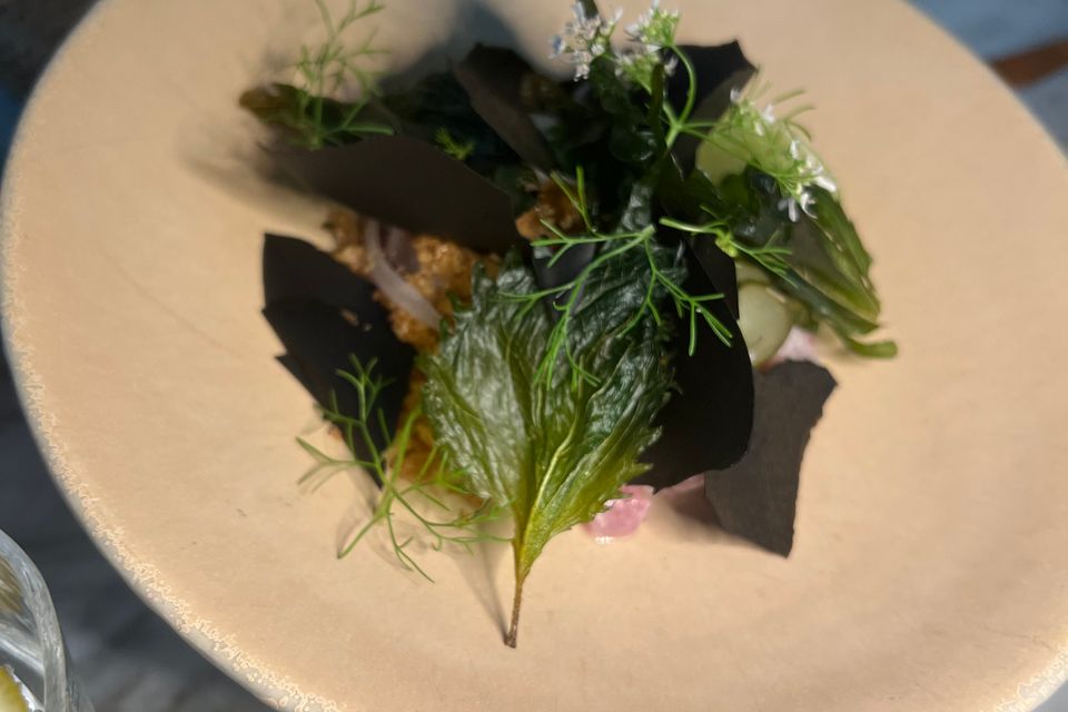 Img 0456