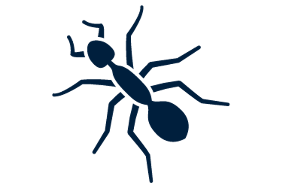 Service icons ants