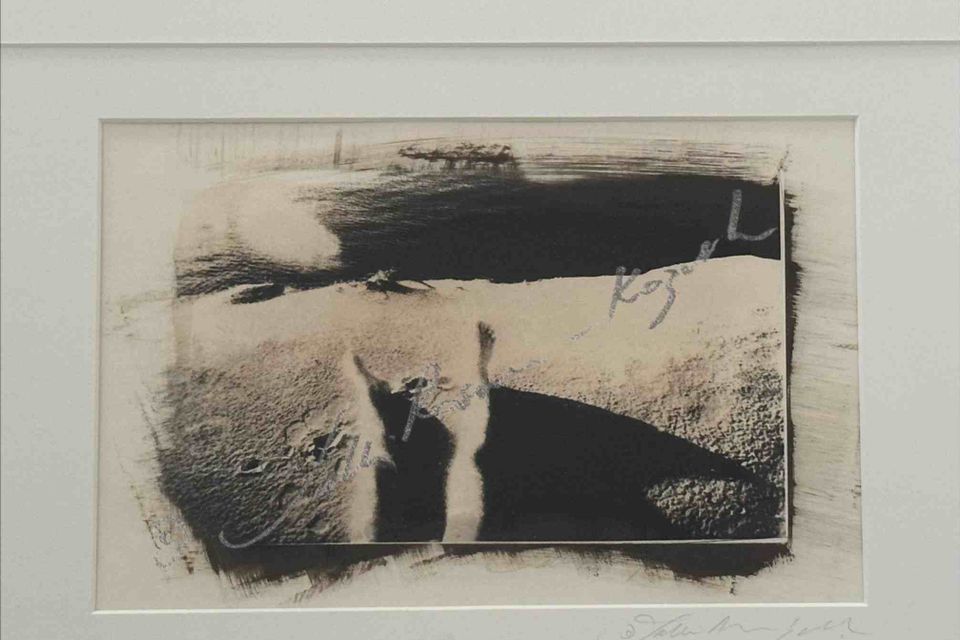 Angel landed  platinum print