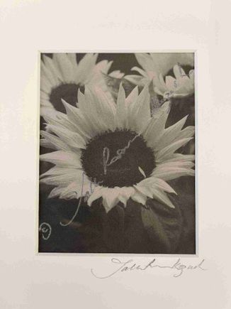 Sunflowers bouquet platinum