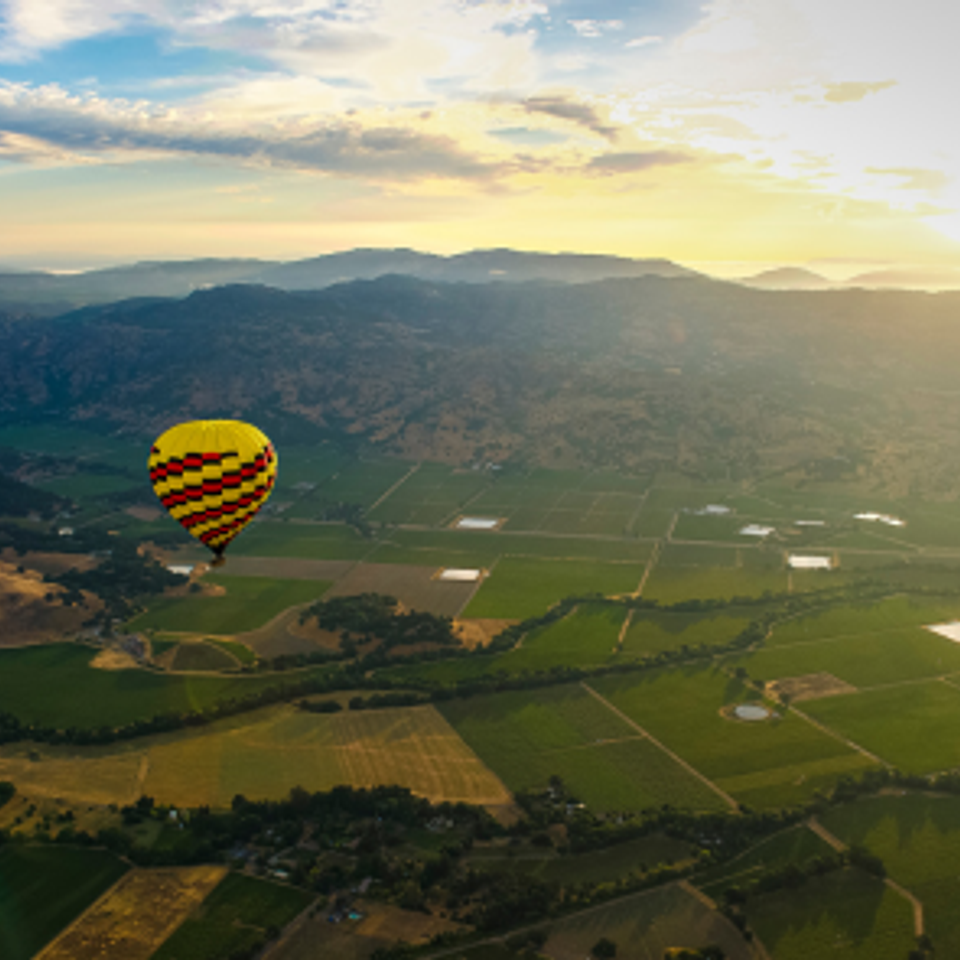 Usa (conus)   4 days   3 nights   napa valley