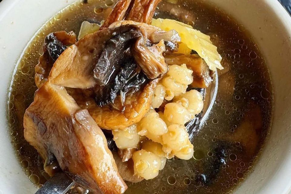 669675079 1575921727592104 2197632164056149726 n