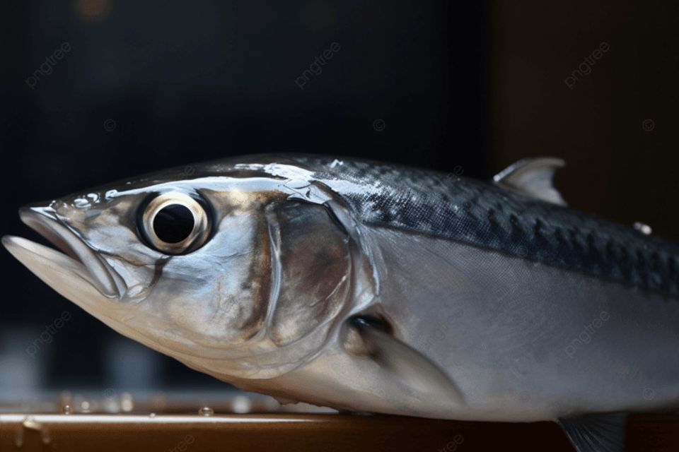 Pngtree an image of a fish in front of a wooden table image 2514860
