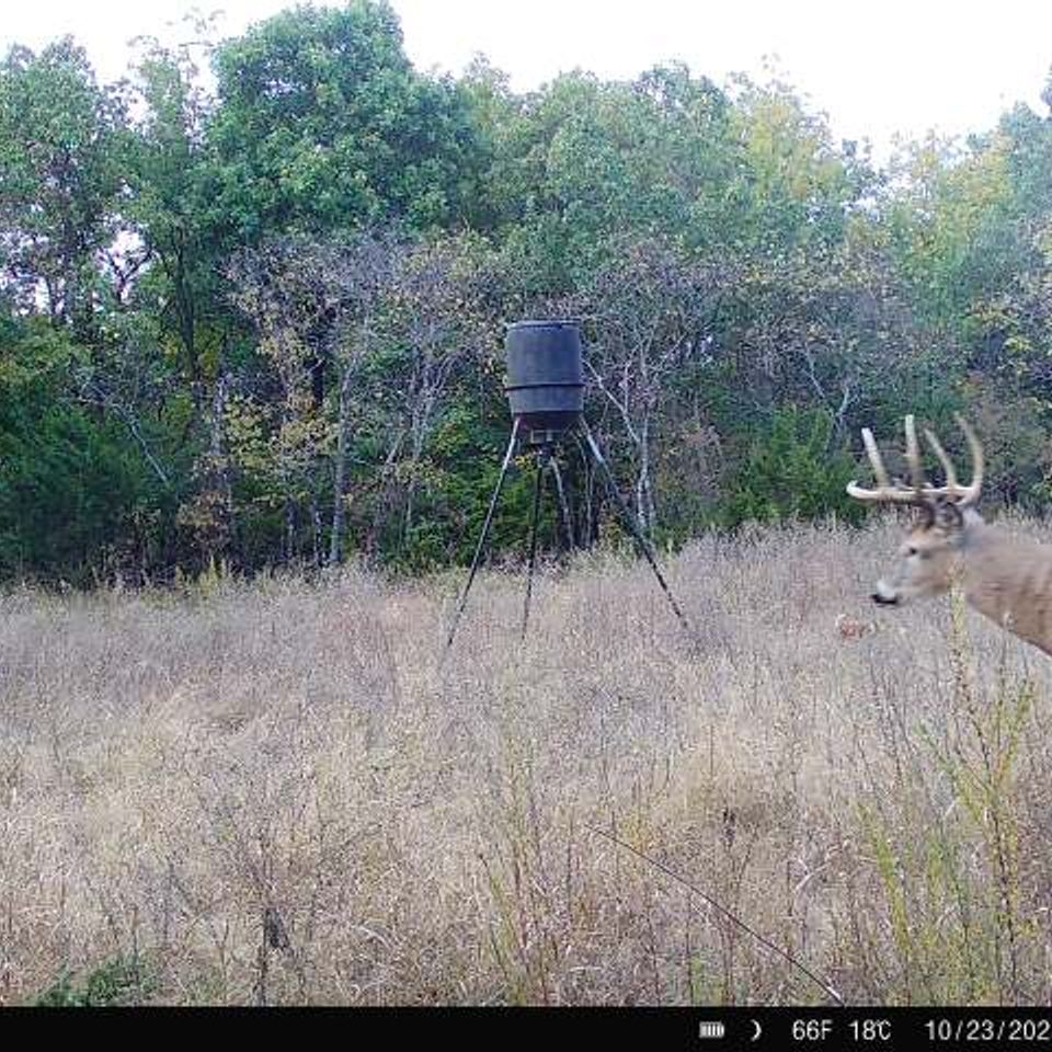 864049056181094 100 4 10232025181820 w1000211