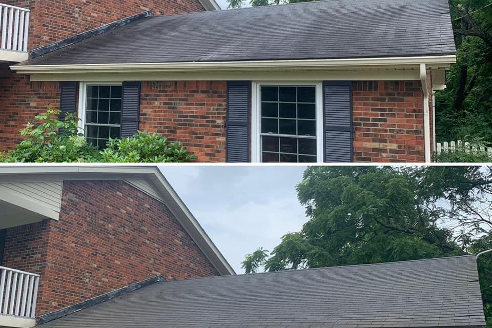 Dramatic before and after roof moss removal showing restored asphalt shingles by TLC Pressure Washing
