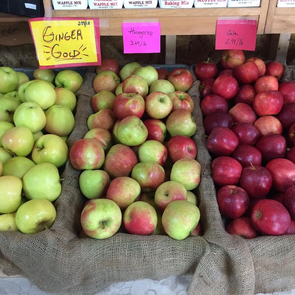 Af1qippwswvvihafzu5 qxkcr85oifbq0wwkq6e fx2e s1021 k no