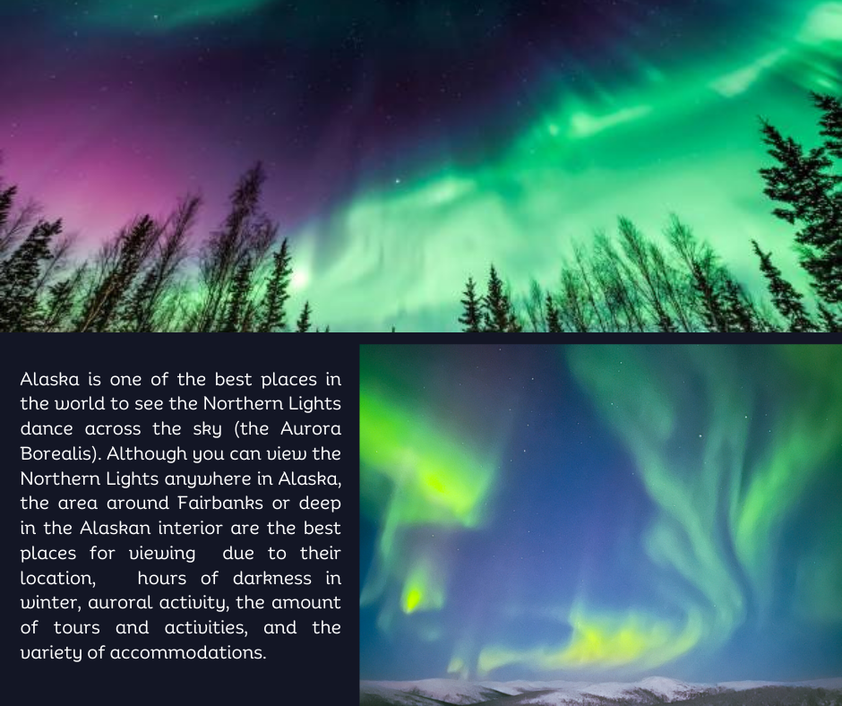 Alaska   northern lights (4)