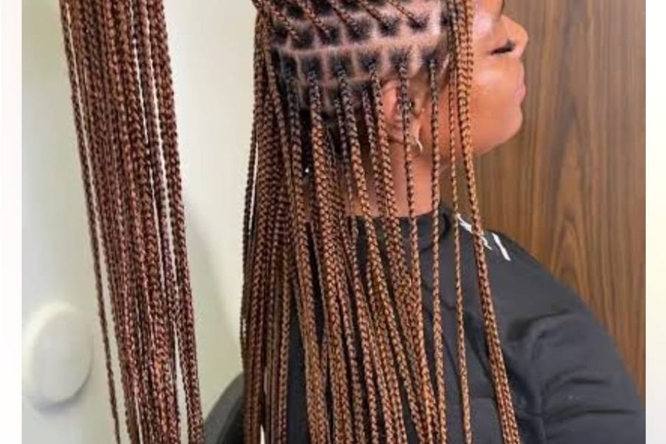 Small knotless braids   300