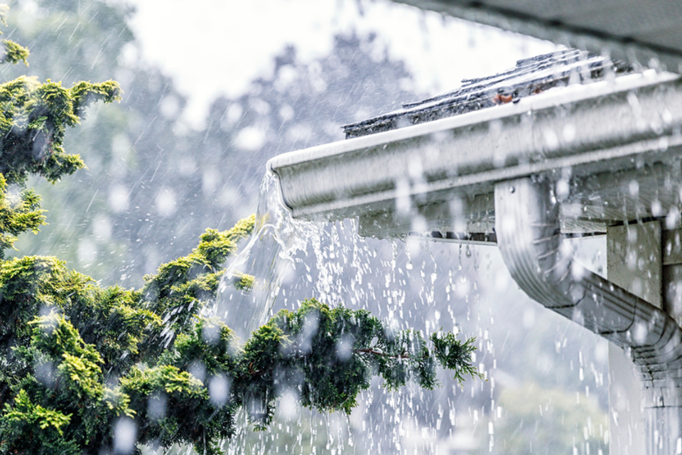 D71cd138 5780 47dd a6d9 27c34f0d83db