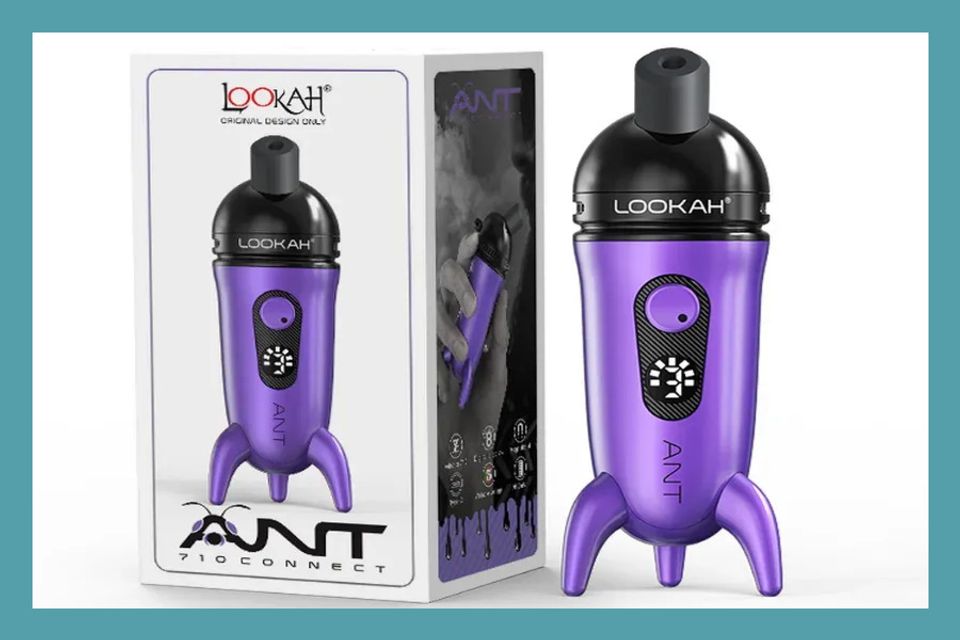 Lookah Ant Purple