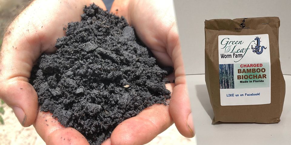 Biochar