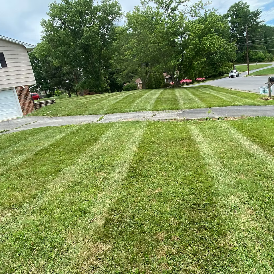 Mowing landscaping johnson city54