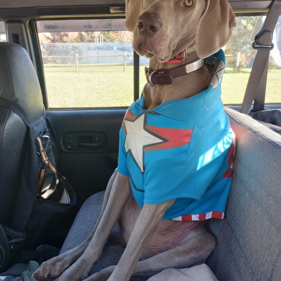 Img 20231123 115019564 hdr