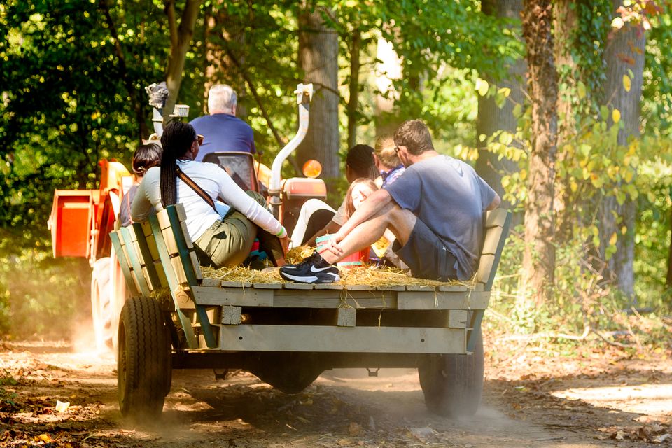 073 moskowphoto©2024