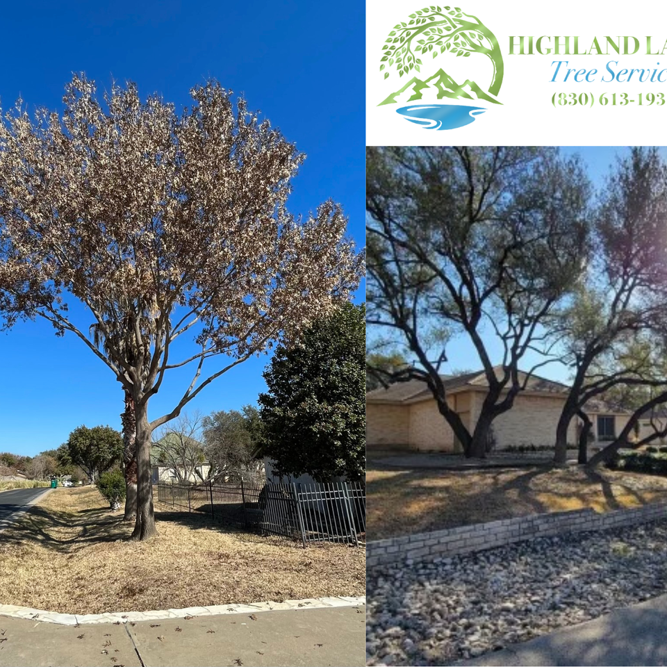 Highland Lake Tree Service