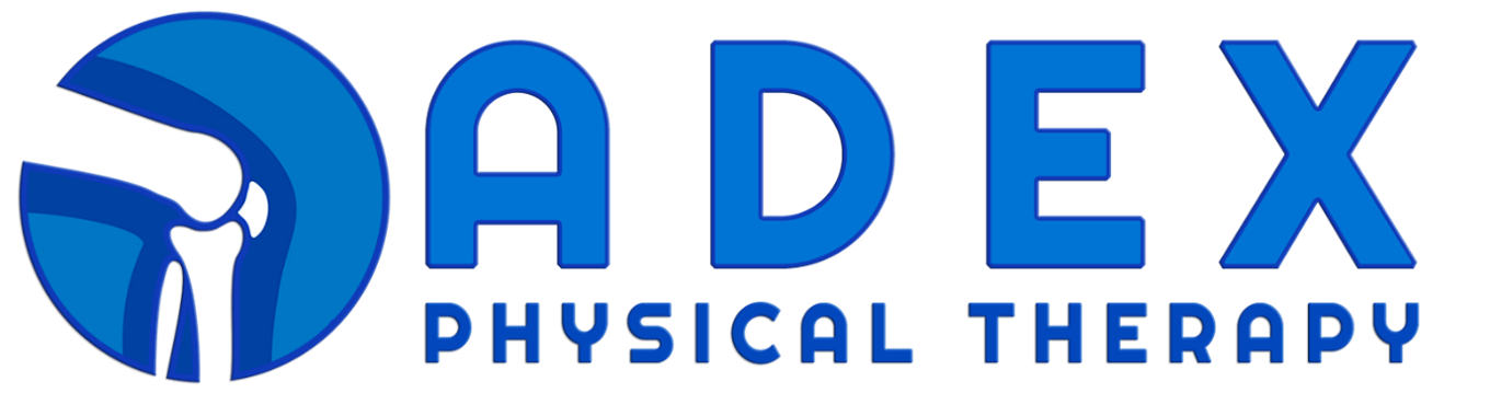Adex Physical Therapy Inc PC