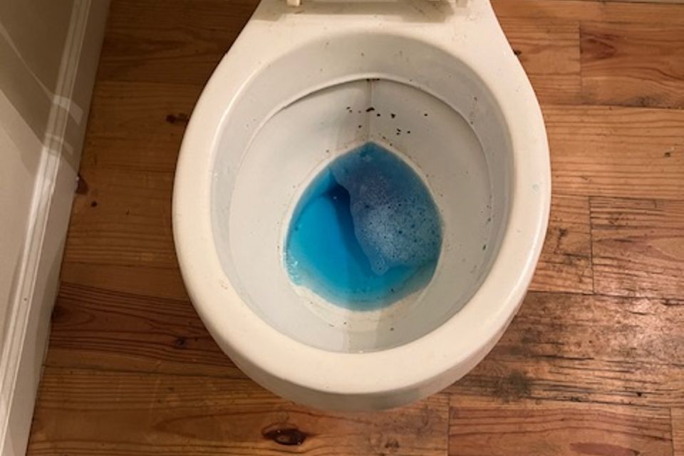 Img 3076