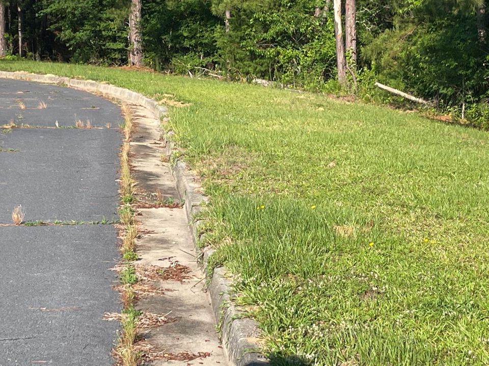 Photo may 20 2025  8 54 36 am