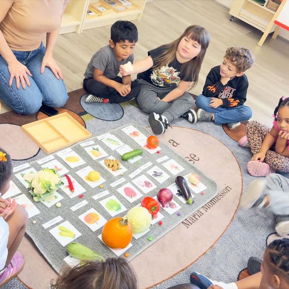 Kids being taught different types of foods at Montessori Magic Key in Palmdale, CA