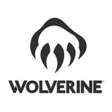 Wolverine smaller logo