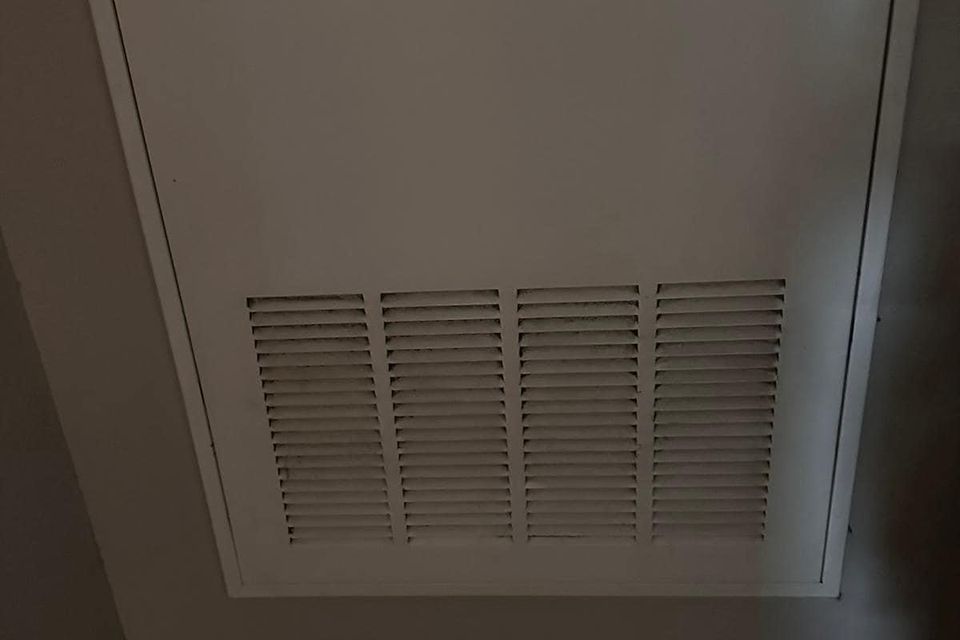 Img 2459